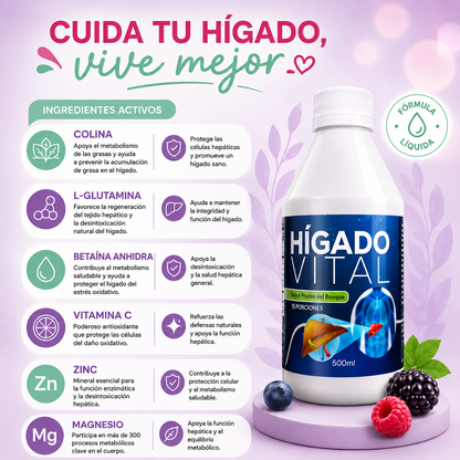 HIGADO VITAL